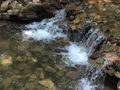 -江西阳明山国家森林公园