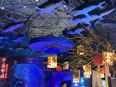 -烟台海昌鲸鲨海洋公园