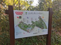 -深圳国际园林花卉博览园