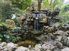 -上海醉白池公园