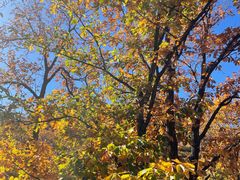 -天津盘山风景名胜区