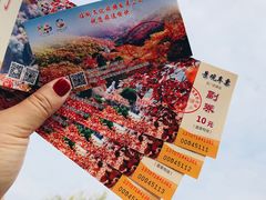 -石门坊
