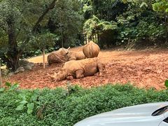 -广州长隆野生动物世界