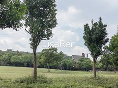 -上海吴淞炮台湾国家湿地公园