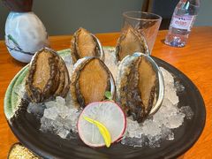 鲍鱼-月龍吟(朝龙汇店)