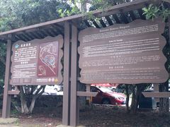 -宝岩生态观光园