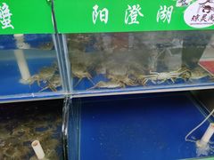-阳澄湖大闸蟹·琼灵阁牌品牌连锁(吴中总店)