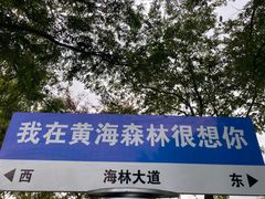 -黄海国家森林公园