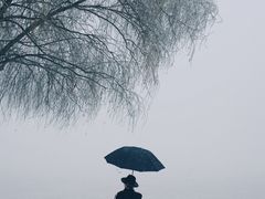 -武昌江滩