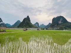 -明仕田园