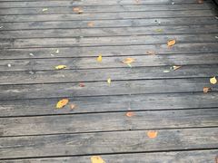 -仙海旅游度假区