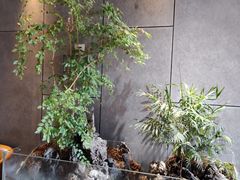 -玲珑汤泉生活会馆(花桥店)