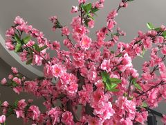 -朝阳公园游乐园