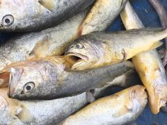 -青岛沙子口国家中心渔港