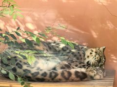 -青藏高原野生动物园