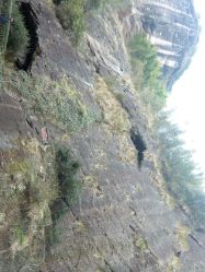 -完美新娘婚纱摄影