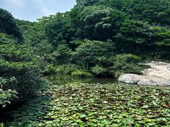 -桃花岛风景旅游区