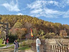 -横道河子东北虎林园