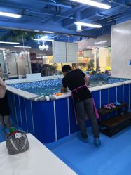 -子木乐园婴儿游泳馆(水晶港店)