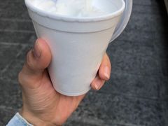 -洪馨椰子
