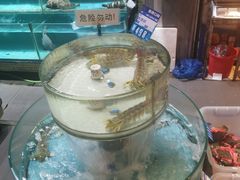 -强记海鲜·大排档(蛇口新街店)
