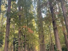 -上海怡沁园度假酒店