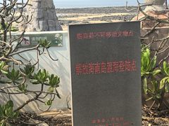 -临高角