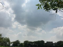 -高子水居