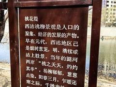 -桃花堤公园