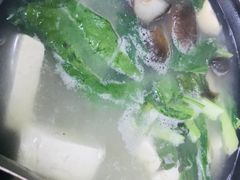-煲来饱去冷水鱼
