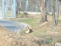 -西安秦岭野生动物园