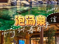 -大江户·温泉洗浴(浑南店)