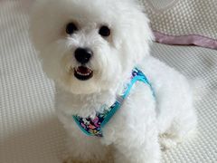 -久久宠物(河东万达店)