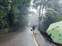-鼎湖山风景区