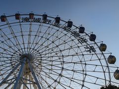 -常州淹城野生动物世界