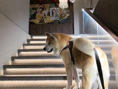 -本寻烧肉酒场(双井店)