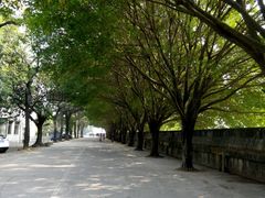 -广东紫坭糖厂(桥头路)