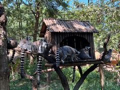 -北京野生动物园