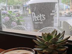 -Peet's Coffee皮爷咖啡(大学路店)