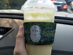 -野萃山·潮汕厚果汁(十亩地店)