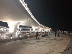 -演武大桥观景平台