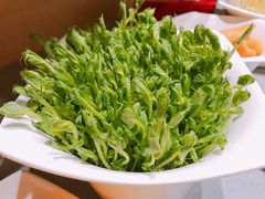 活体豆苗-海底捞火锅(天一广场亚细亚店)