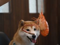 -欢乐蟹庄·精品农家乐(阳澄湖莲花岛店)