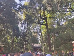 -成都武侯祠博物馆