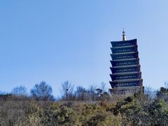 -牛首山文化旅游区