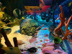 -沈阳海洋探索中心