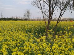-呈贡滇池生态湿地公园