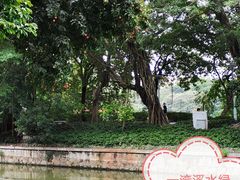 -荔湾湖公园