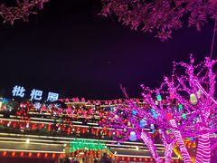 -枇杷园食为鲜火锅(南山店)