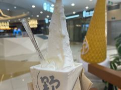 -野人先生Gelato(上海长宁龙之梦店)